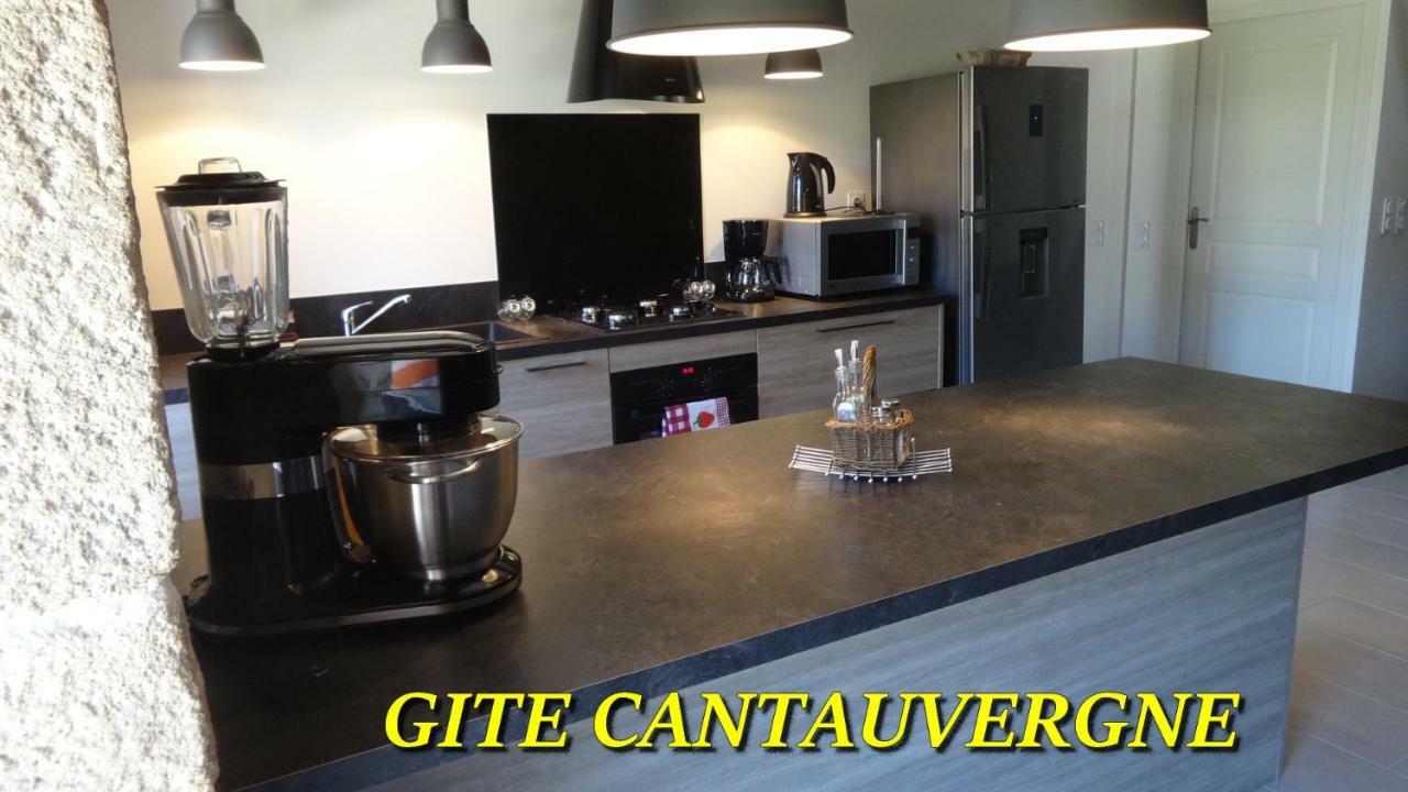 Gite Cantauvergne Villa Vebret Ngoại thất bức ảnh