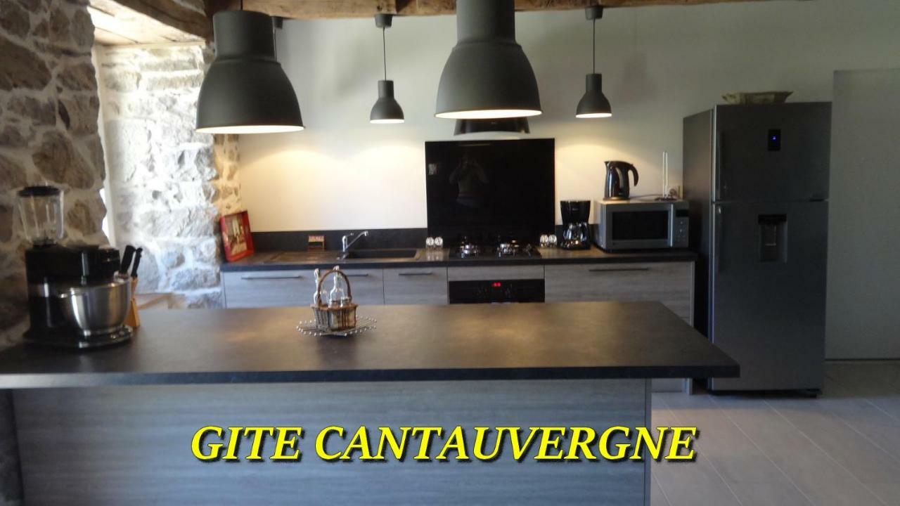 Gite Cantauvergne Villa Vebret Ngoại thất bức ảnh