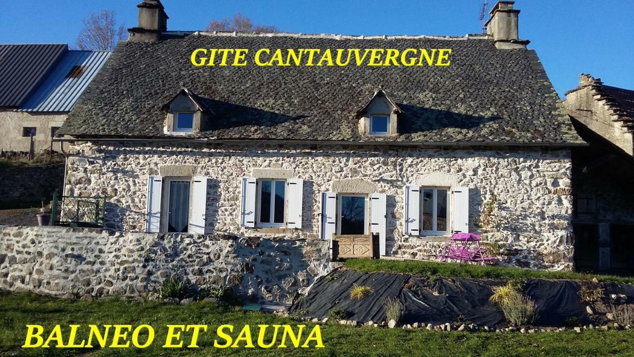 Gite Cantauvergne Villa Vebret Ngoại thất bức ảnh