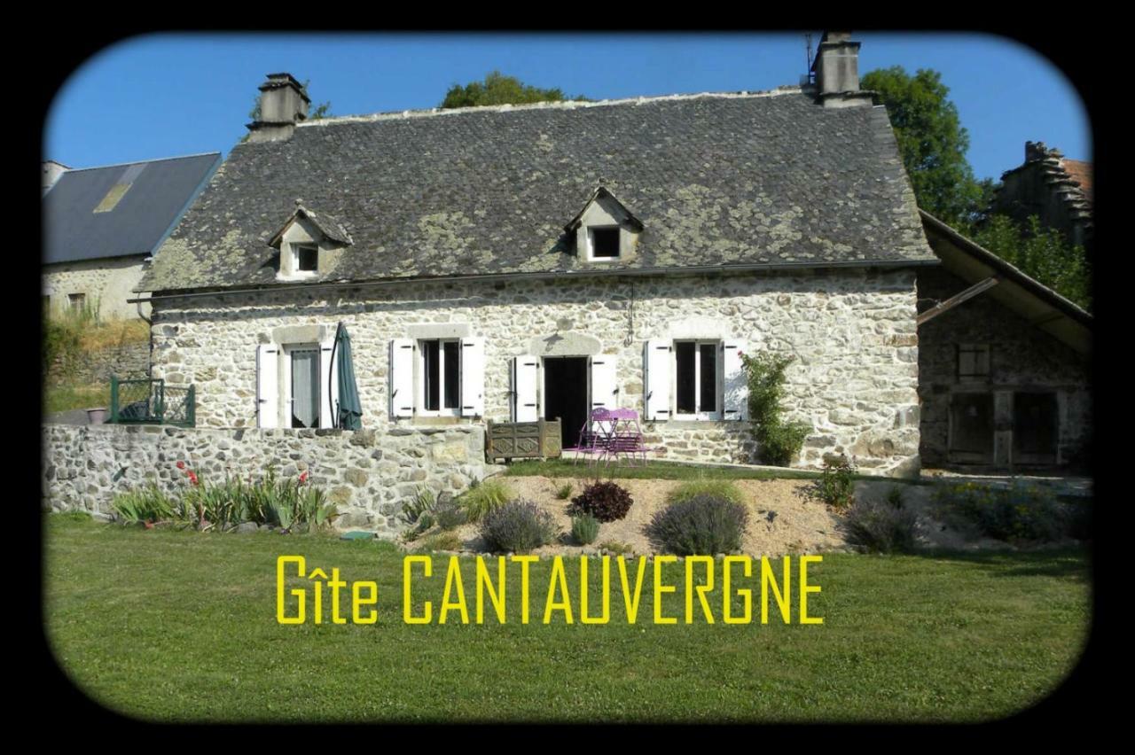 Gite Cantauvergne Villa Vebret Ngoại thất bức ảnh