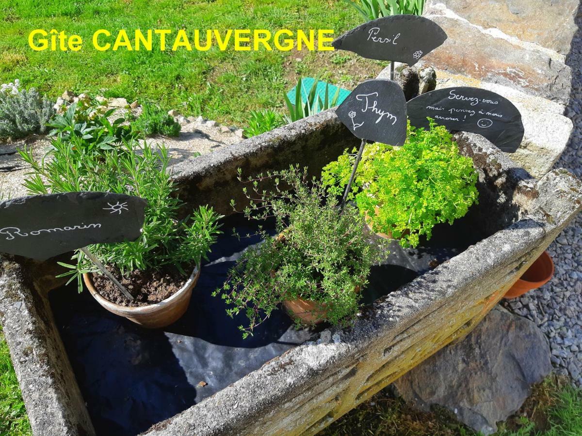 Gite Cantauvergne Villa Vebret Ngoại thất bức ảnh